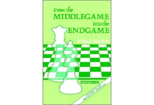From  the Middlegame into Endgame