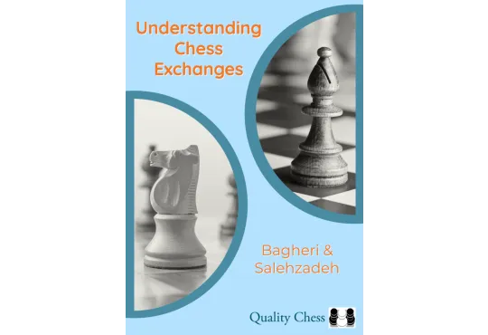 Understanding Chess Exchanges 