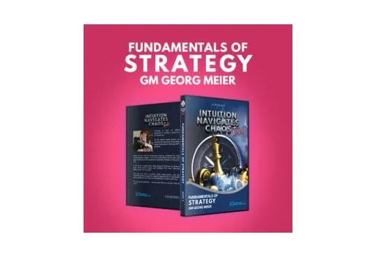 E-DVD - Intuition Navigates Chaos - Turbo - Fundamentals of Strategy - GM Georg Meier