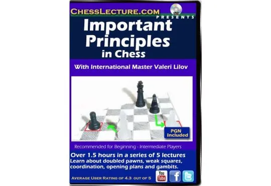 Important Principles in Chess - Chess Lecture - Volume 156