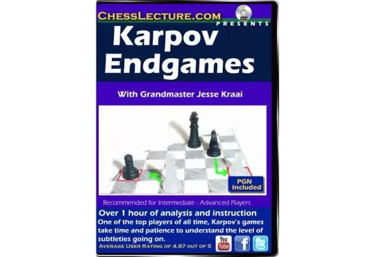 Chess endgames